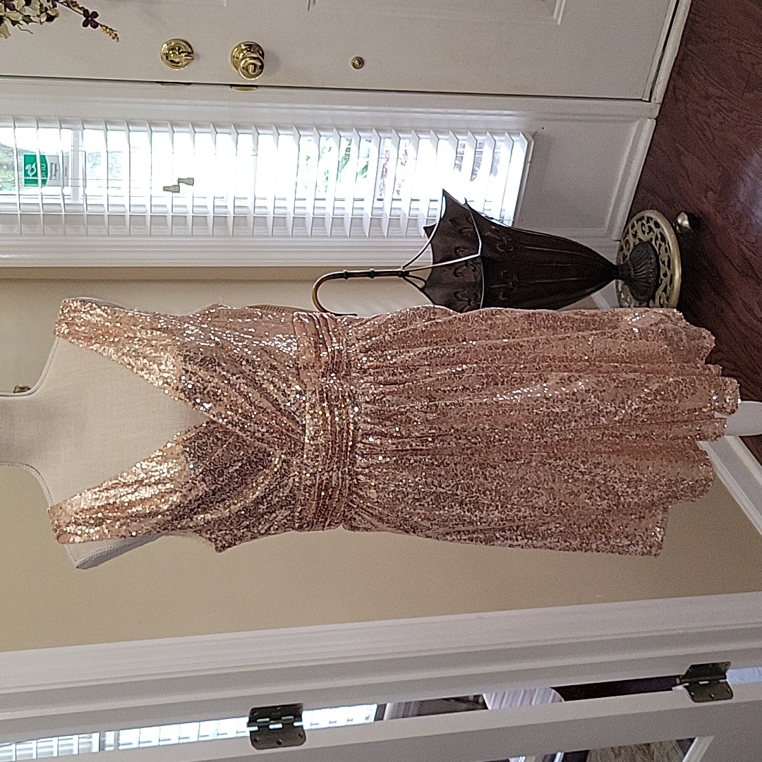 Kate Kasin Rose Gold Sequined Dress Xl 16 New Fit & Flare Vneck Sleeveless New